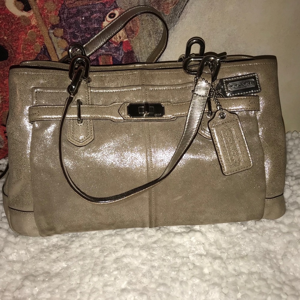 Coach Chelsea Metallic Leather Jayden Satchel